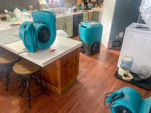 Best Local water damage restoration  in Post Falls, ID