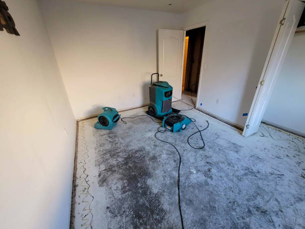 Best Basement water damage restoration  in Post Falls, ID