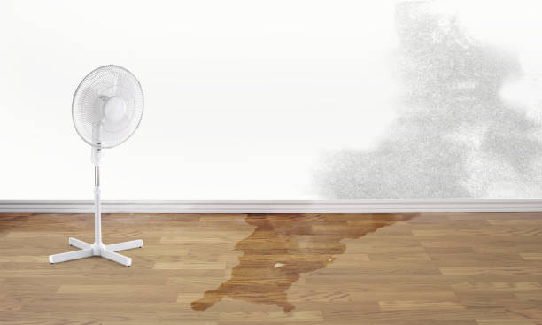 Best Mold removal after water damage  in Post Falls, ID