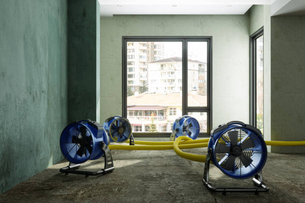 Best Residential water damage restoration  in Post Falls, ID